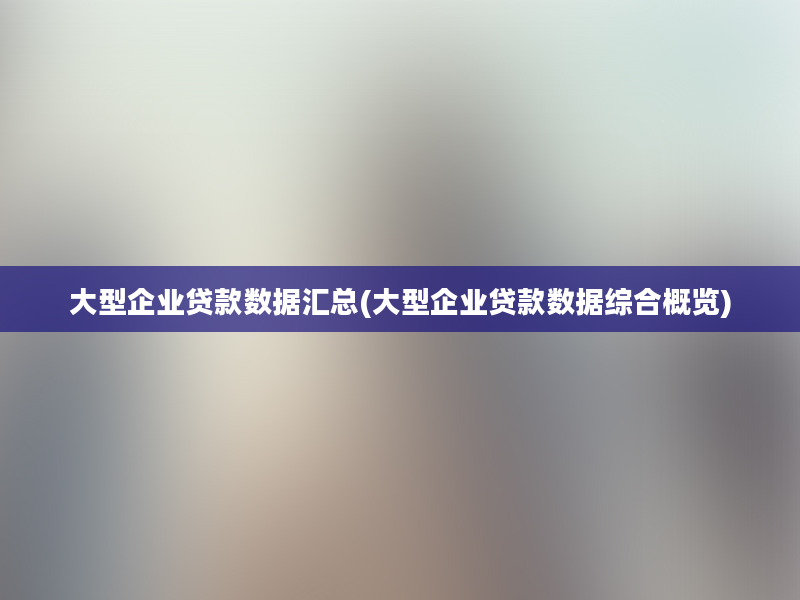 大型企业贷款数据汇总(大型企业贷款数据综合概览)