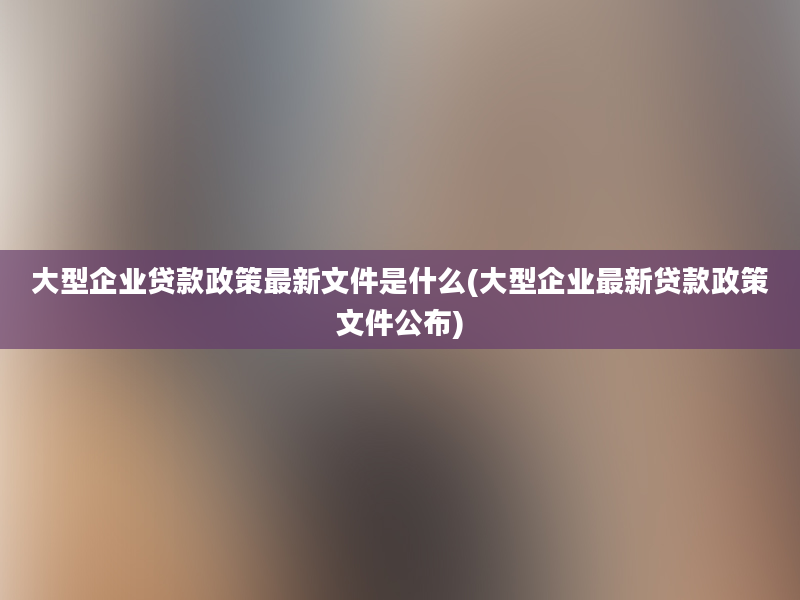 大型企业贷款政策最新文件是什么(大型企业最新贷款政策文件公布)