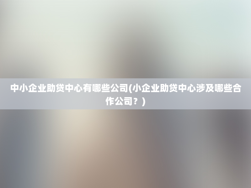 中小企业助贷中心有哪些公司(小企业助贷中心涉及哪些合作公司？)