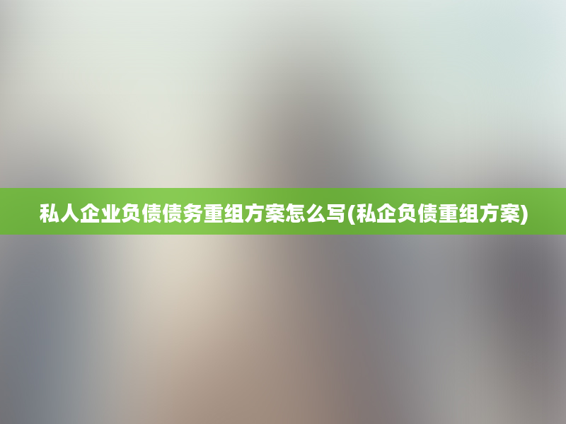 私人企业负债债务重组方案怎么写(私企负债重组方案)