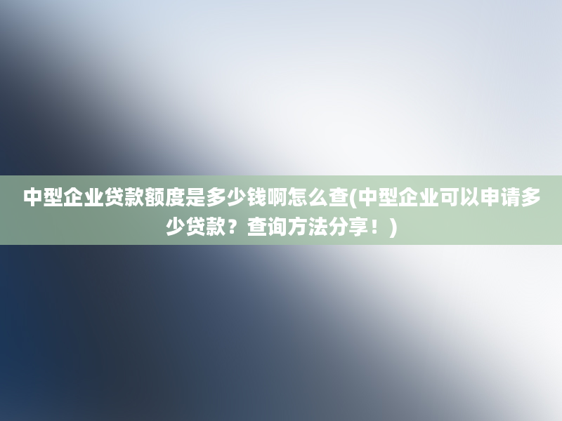 中型企业贷款额度是多少钱啊怎么查(中型企业可以申请多少贷款？查询方法分享！)