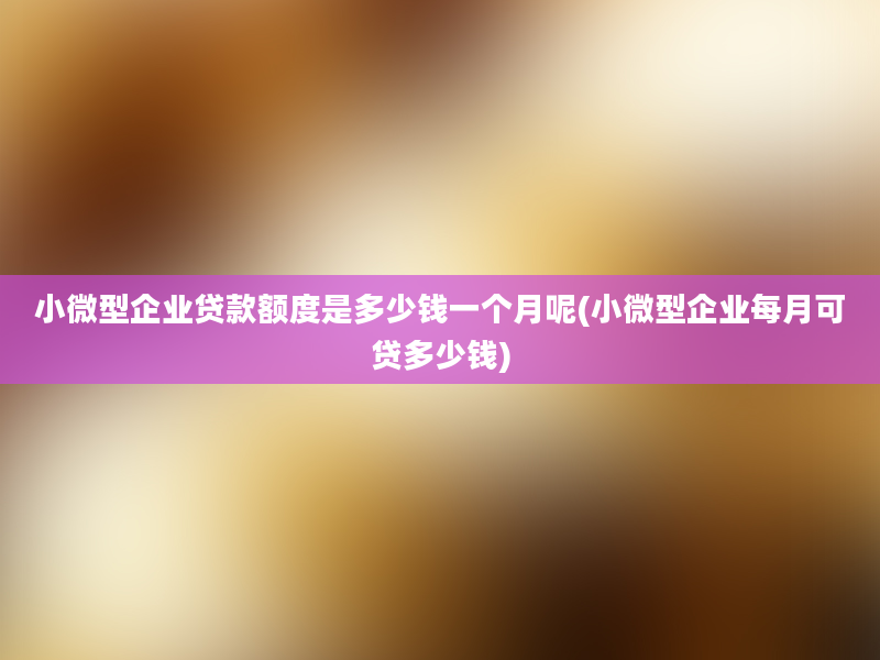 小微型企业贷款额度是多少钱一个月呢(小微型企业每月可贷多少钱)