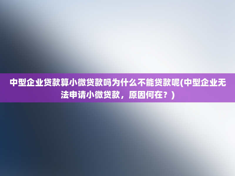 中型企业贷款算小微贷款吗为什么不能贷款呢(中型企业无法申请小微贷款，原因何在？)