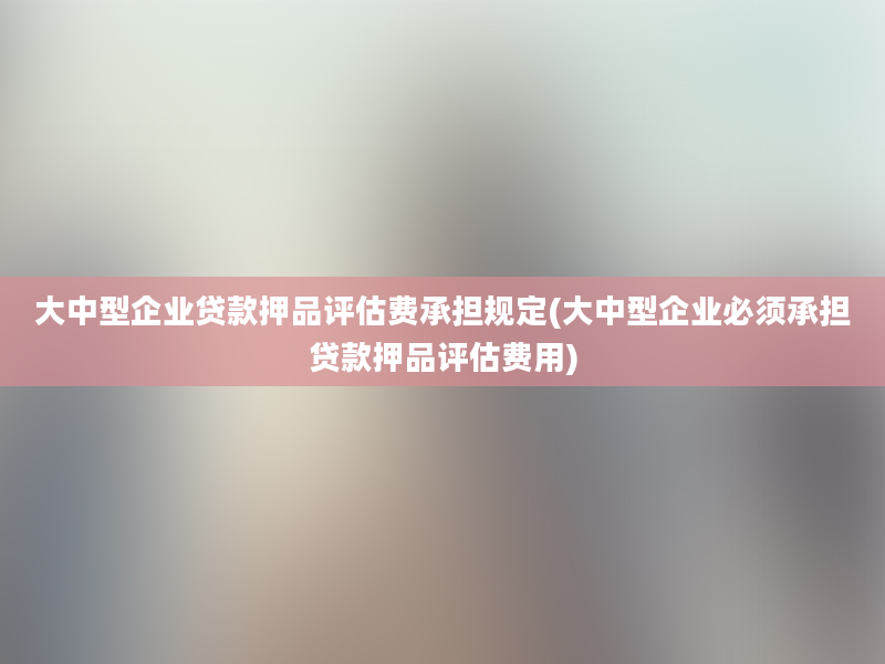 大中型企业贷款押品评估费承担规定(大中型企业必须承担贷款押品评估费用)