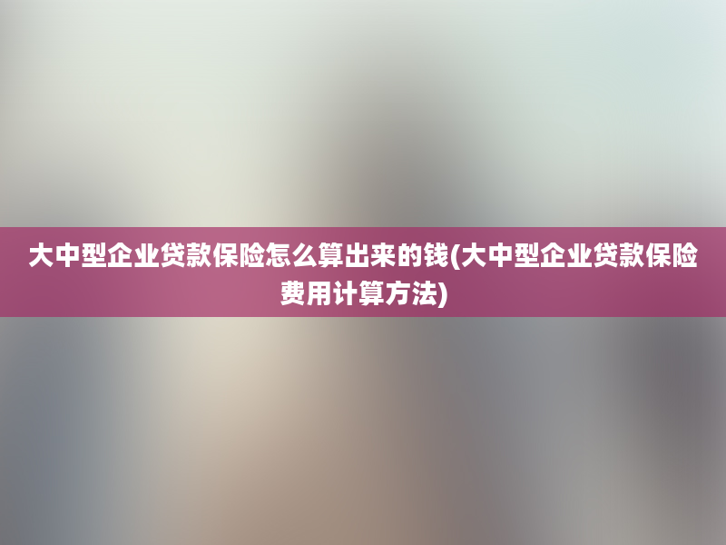 大中型企业贷款保险怎么算出来的钱(大中型企业贷款保险费用计算方法)