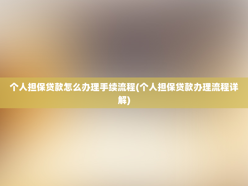 个人担保贷款怎么办理手续流程(个人担保贷款办理流程详解)