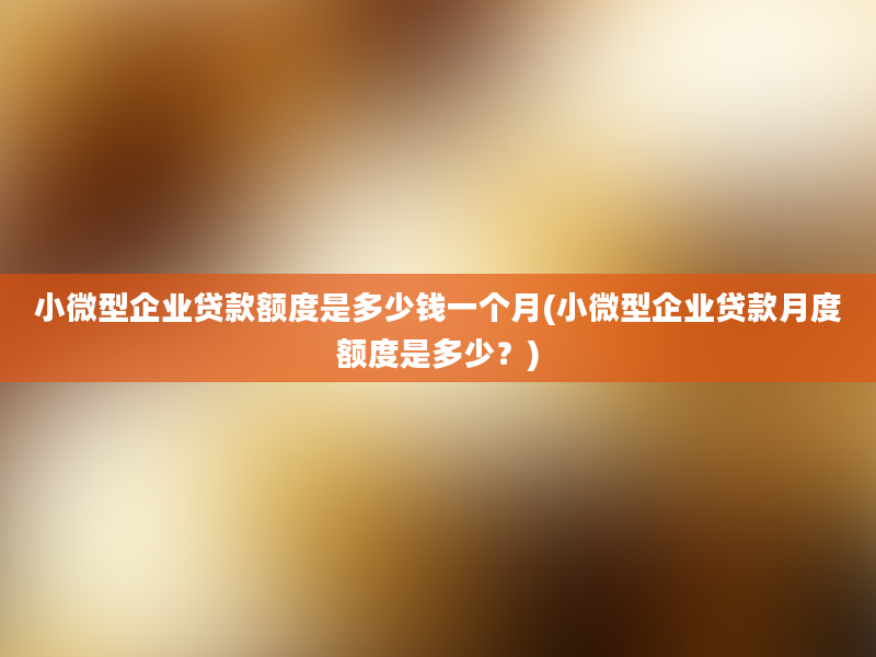 小微型企业贷款额度是多少钱一个月(小微型企业贷款月度额度是多少？)