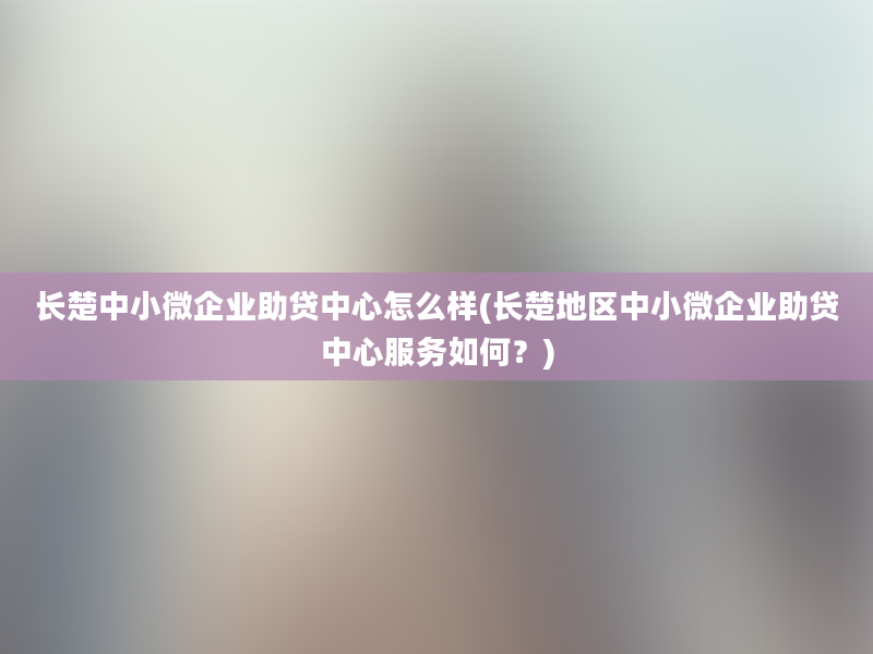 长楚中小微企业助贷中心怎么样(长楚地区中小微企业助贷中心服务如何？)