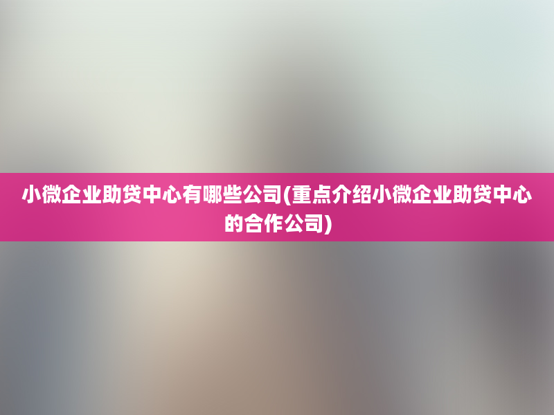 小微企业助贷中心有哪些公司(重点介绍小微企业助贷中心的合作公司)