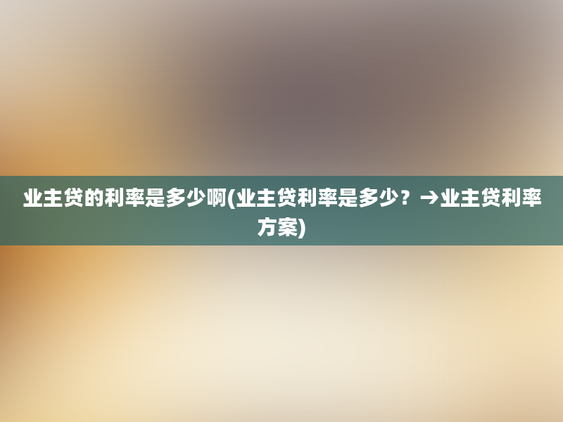 业主贷的利率是多少啊(业主贷利率是多少？→业主贷利率方案)