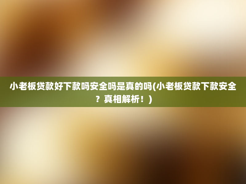 小老板贷款好下款吗安全吗是真的吗(小老板贷款下款安全？真相解析！)