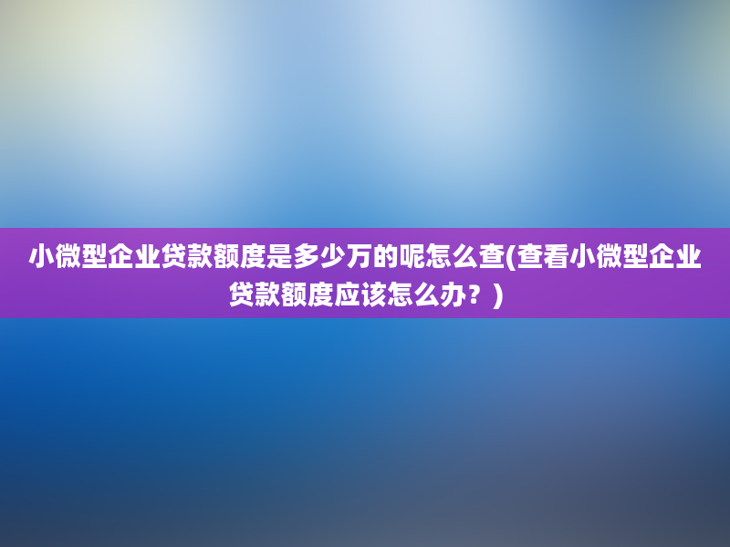 小微型企业贷款额度是多少万的呢怎么查(查看小微型企业贷款额度应该怎么办？)