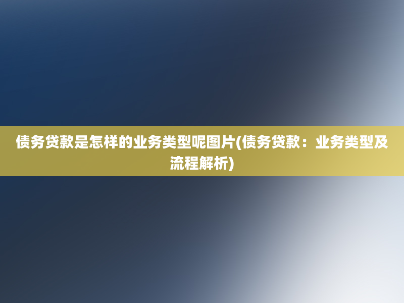 债务贷款是怎样的业务类型呢图片(债务贷款：业务类型及流程解析)