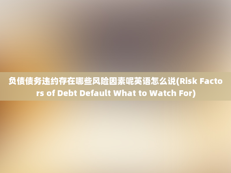 负债债务违约存在哪些风险因素呢英语怎么说(Risk Factors of Debt Default What to Watch For)