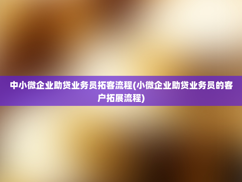 中小微企业助贷业务员拓客流程(小微企业助贷业务员的客户拓展流程)