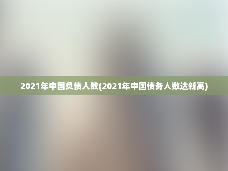 2021年中国负债人数(2021年中国债务人数达新高)