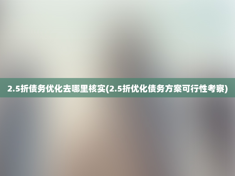 2.5折债务优化去哪里核实(2.5折优化债务方案可行性考察)