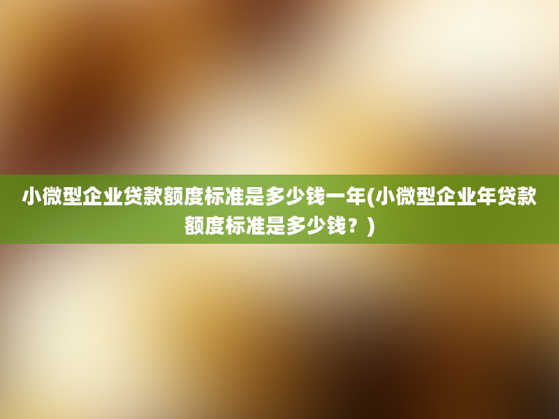 小微型企业贷款额度标准是多少钱一年(小微型企业年贷款额度标准是多少钱？)