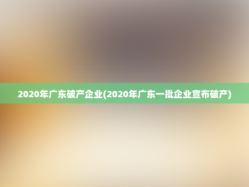 2020年广东破产企业(2020年广东一批企业宣布破产)