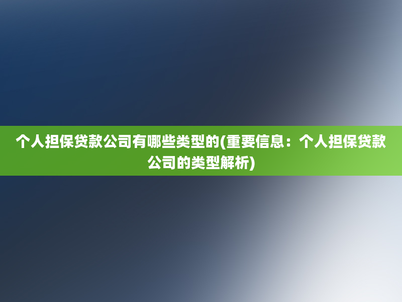 个人担保贷款公司有哪些类型的(重要信息：个人担保贷款公司的类型解析)