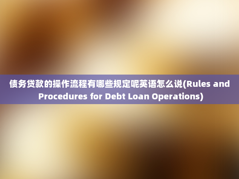 债务贷款的操作流程有哪些规定呢英语怎么说(Rules and Procedures for Debt Loan Operations)