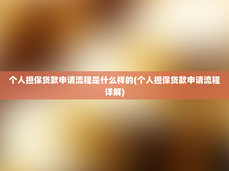 个人担保贷款申请流程是什么样的(个人担保贷款申请流程详解)