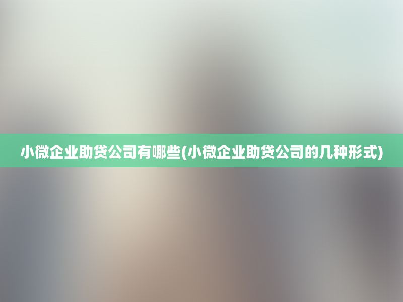 小微企业助贷公司有哪些(小微企业助贷公司的几种形式)