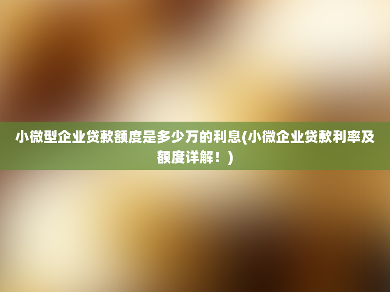 小微型企业贷款额度是多少万的利息(小微企业贷款利率及额度详解！)