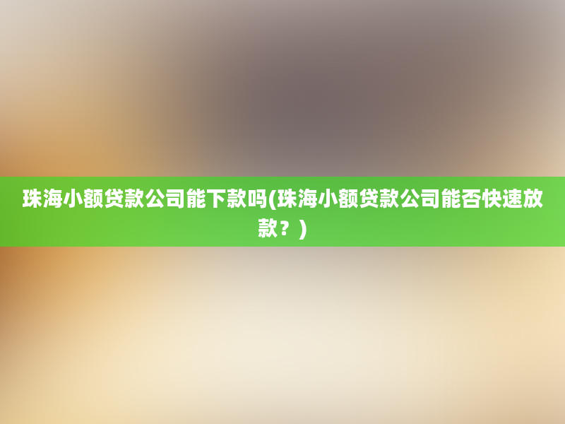 珠海小额贷款公司能下款吗(珠海小额贷款公司能否快速放款？)