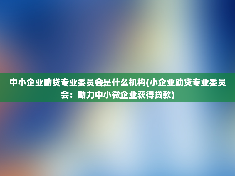 中小企业助贷专业委员会是什么机构(小企业助贷专业委员会：助力中小微企业获得贷款)