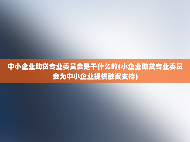 中小企业助贷专业委员会是干什么的(小企业助贷专业委员会为中小企业提供融资支持)