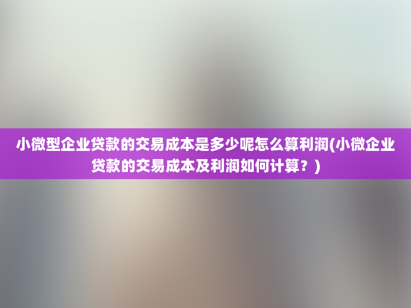 小微型企业贷款的交易成本是多少呢怎么算利润(小微企业贷款的交易成本及利润如何计算？)