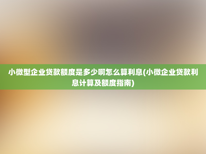 小微型企业贷款额度是多少啊怎么算利息(小微企业贷款利息计算及额度指南)