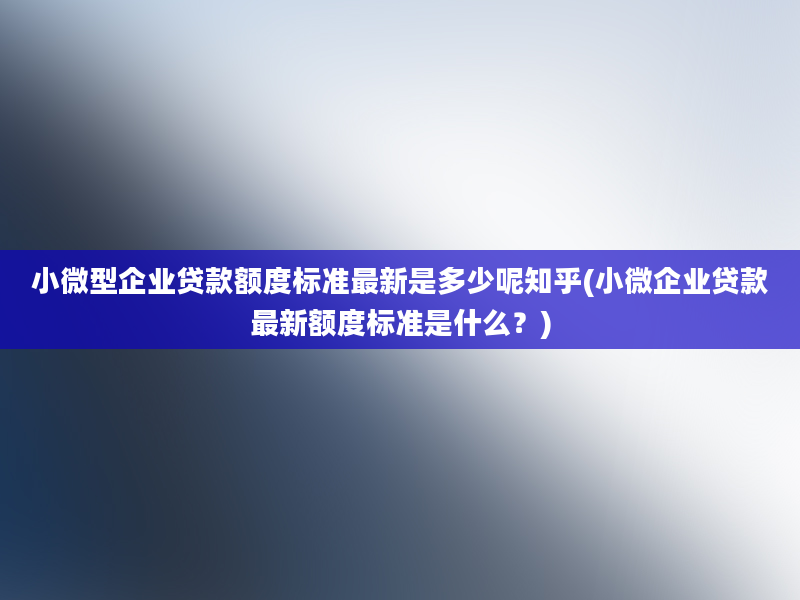 小微型企业贷款额度标准最新是多少呢知乎(小微企业贷款最新额度标准是什么？)