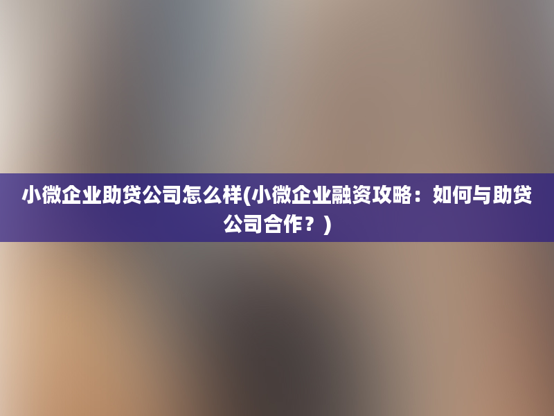 小微企业助贷公司怎么样(小微企业融资攻略：如何与助贷公司合作？)