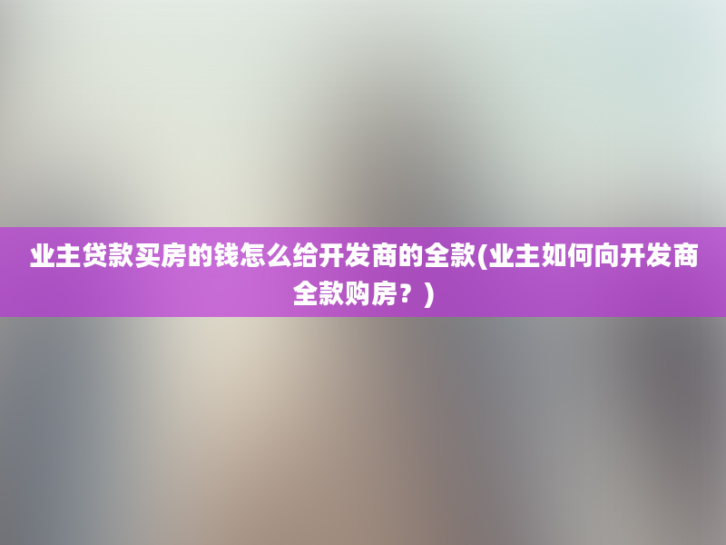 业主贷款买房的钱怎么给开发商的全款(业主如何向开发商全款购房？)