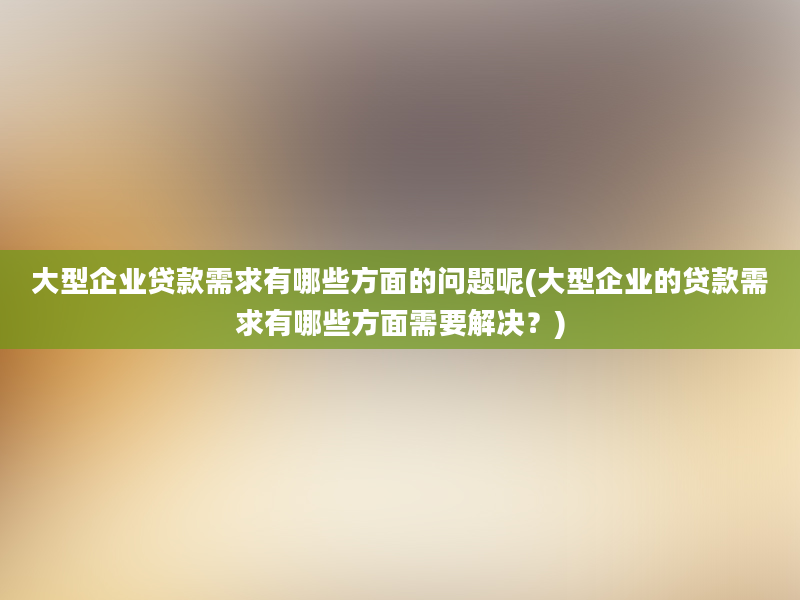 大型企业贷款需求有哪些方面的问题呢(大型企业的贷款需求有哪些方面需要解决？)