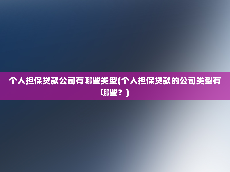 个人担保贷款公司有哪些类型(个人担保贷款的公司类型有哪些？)