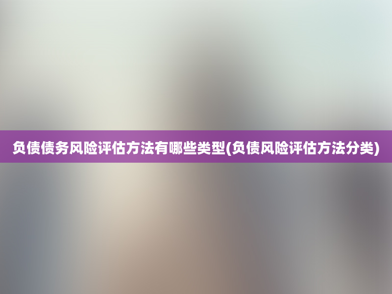 负债债务风险评估方法有哪些类型(负债风险评估方法分类)