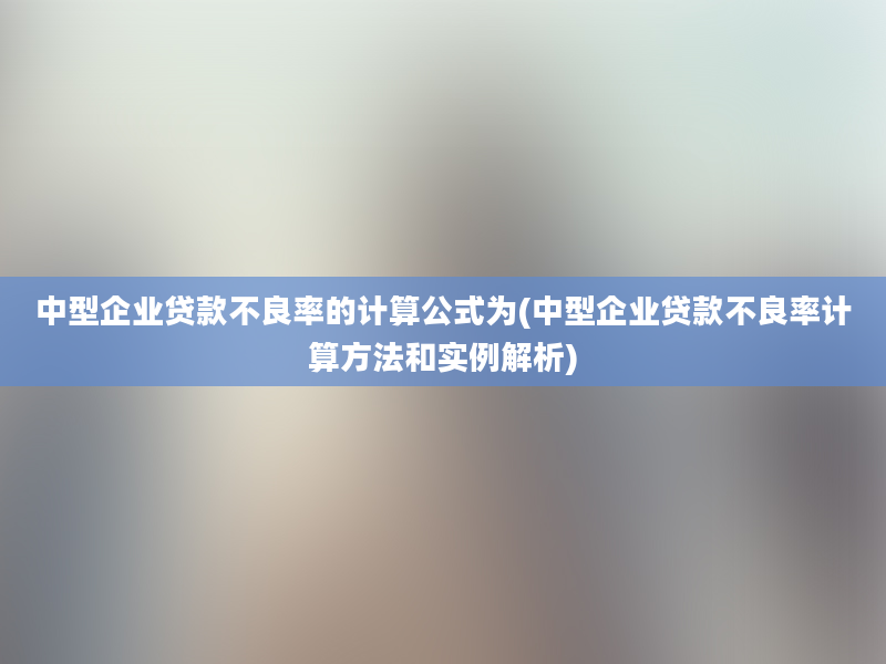 中型企业贷款不良率的计算公式为(中型企业贷款不良率计算方法和实例解析)