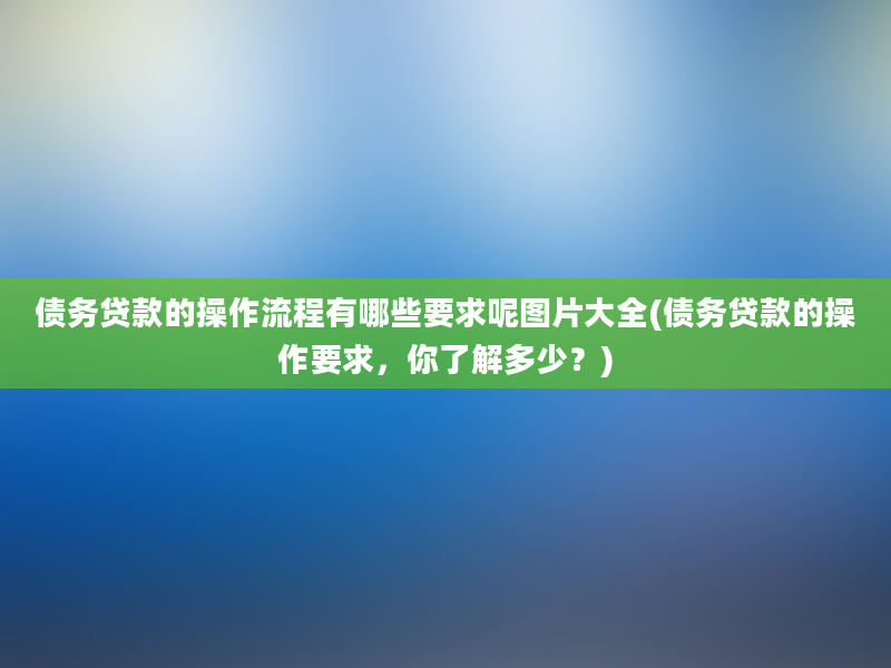 债务贷款的操作流程有哪些要求呢图片大全(债务贷款的操作要求，你了解多少？)