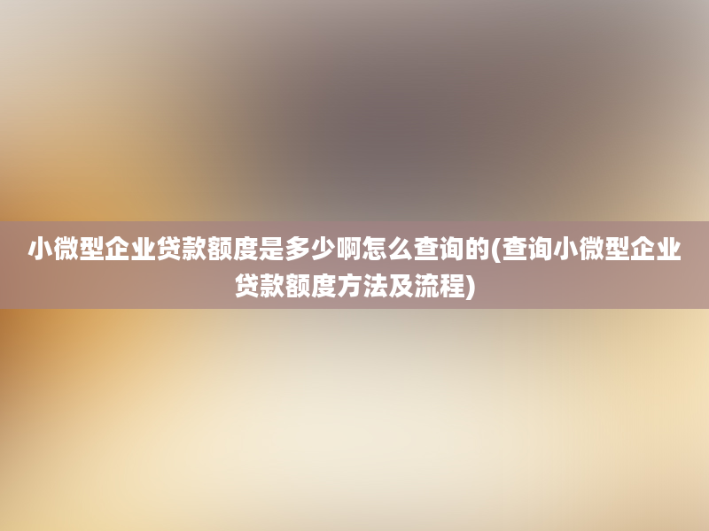 小微型企业贷款额度是多少啊怎么查询的(查询小微型企业贷款额度方法及流程)