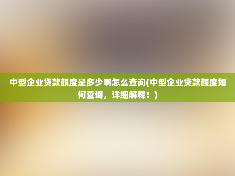 中型企业贷款额度是多少啊怎么查询(中型企业贷款额度如何查询，详细解释！)