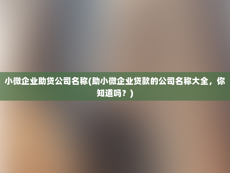 小微企业助贷公司名称(助小微企业贷款的公司名称大全，你知道吗？)