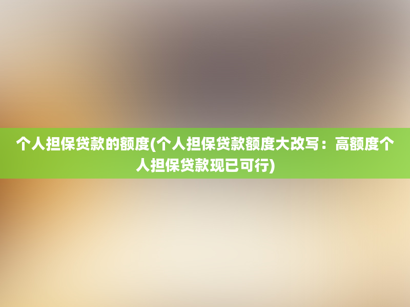 个人担保贷款的额度(个人担保贷款额度大改写：高额度个人担保贷款现已可行)