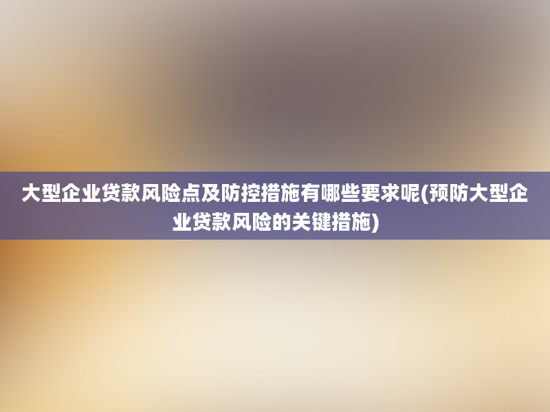 大型企业贷款风险点及防控措施有哪些要求呢(预防大型企业贷款风险的关键措施)