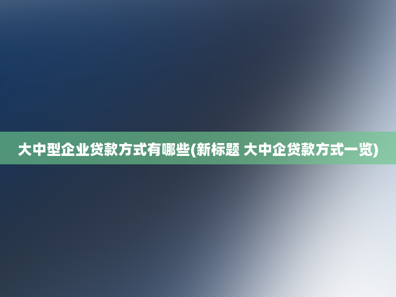 大中型企业贷款方式有哪些(新标题 大中企贷款方式一览)