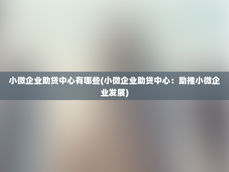 小微企业助贷中心有哪些(小微企业助贷中心：助推小微企业发展)