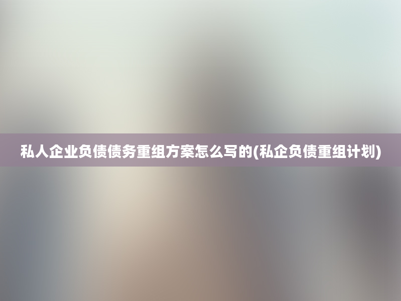 私人企业负债债务重组方案怎么写的(私企负债重组计划)