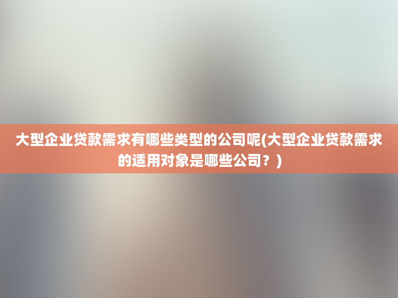 大型企业贷款需求有哪些类型的公司呢(大型企业贷款需求的适用对象是哪些公司？)